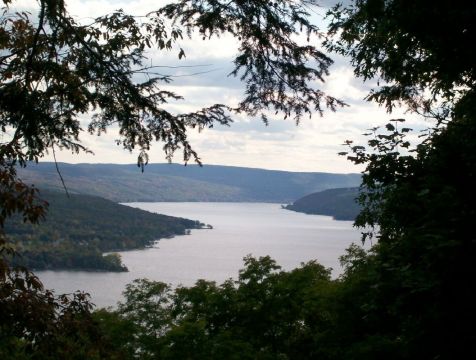 FINGER LAKES