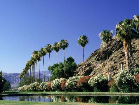 Palm Springs