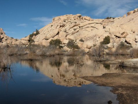 Dam in Joshua Tree National Park