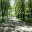 Path near Beaver Lake in Mount Royal Park