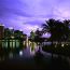 Eola Park And Downtown Orlando Skyline