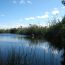 The Everglades National Park