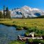 Mammoth Peak, Yosemite National Park