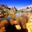 Joshua Tree National Park