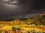 Thunderstorm over Thunderbolt, Utah (US)