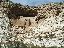 Montezuma Castle