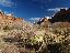 Zion National Park