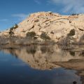 Dam in Joshua Tree National Park