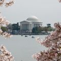 Jefferson Memorial